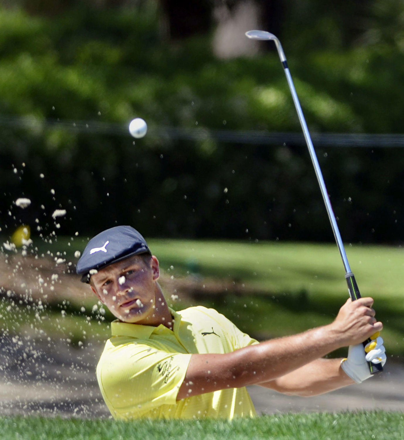 RBC Heritage Golf